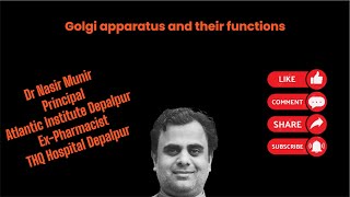 Golgi apparatus [upl. by Sirac]