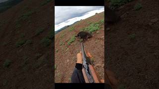 Охота на дикого кабана на очень близком расстоянии cinghiale chasse wildboar охота дикий кабан [upl. by Anaiq]