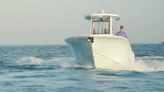 All New Tidewater Boats 256 CC Adventure [upl. by Einnok]