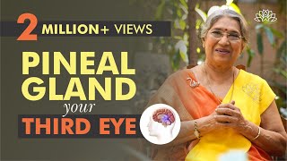 Take Care of your Pineal Gland by doing this  Dr Hansaji Yogendra [upl. by Patrica]