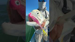 Jack Crevalle inshorefishing jurel pescayucatan ninijigs [upl. by Bettina]