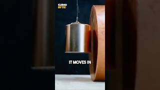 The Surprising Reaction Between Magnets and Copper shorts [upl. by Rivard856]