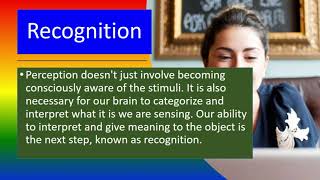 PERCEPTION  Meaning Definition Principles Types Features [upl. by Corwin767]