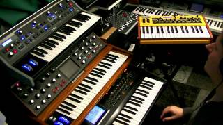 Analogue Synth Power  Studio Jam with 2 Moogs and a Dave Smith Mopho keys in the lead [upl. by Landing]