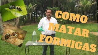 Como matar formigas aí no seu sítio [upl. by Cheatham]