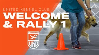 Learn the Beginner Rally Obedience Exercises  UKC Rally Obedience [upl. by Eardnoed25]