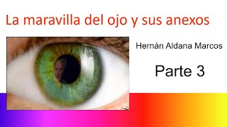 Histología del ojo Parte 3 [upl. by Stubbs]