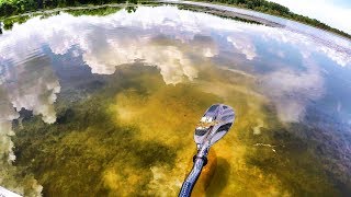 Fishing Bluegill Beds In Clear Water  BIG Bluegill [upl. by Ryter381]