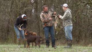 Shed Hunting With Dogs [upl. by Ahsiyk]