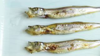 HEAD TO TAIL EATING  GRILLED CAPELIN FISH WITH ROE RECIPE  Cooking with Chef Dai [upl. by Eiramllij85]