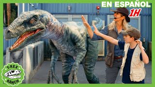 ¡Misterio de huesos de dinosaurio fósiles en el museo  Videos de dinosaurios para niños [upl. by Martguerita]