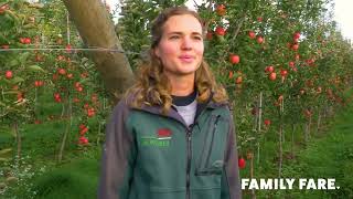 LOCAL Wittenbach Orchards amp BelleHarvest Apples Belding MI [upl. by Caldwell]