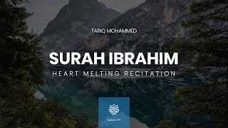 Heart Melting Recitation of Surah Ibrahim  القارئ طارق محمد  سورة إبراهيم [upl. by Isabelle]