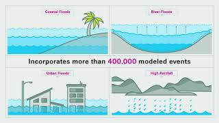 US Flood Insurance [upl. by Shushan981]