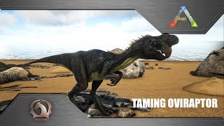 Ark Survival Evolved  Taming Oviraptor [upl. by Tabitha308]