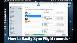 How to Sync and View DJI Flight Records [upl. by Donn]