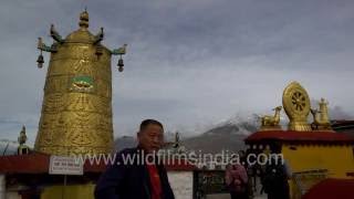 Potala Palace as seen from Jokhang Temple Tibet [upl. by Nosrettap244]