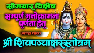 सोमबार विशेष श्री शिवञ्चाक्षरस्तोत्रम् मन्त्र पाठ 2020 monday mantra for shiva  monday mantra [upl. by Nothgiel205]