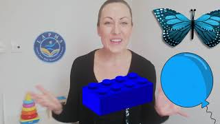 Primary Colors for Kids  Learn the Primary Colors for Preschool amp Kindergarten  Online Montessori [upl. by Bever]