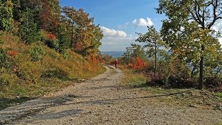 Parenzana  bike trail with amazing views [upl. by Eelimaj]