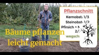 Obstbaum pflanzen leicht gemacht  Baum pflanzen wie ein Profi [upl. by Ettenig]