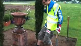 How to plant Irish Yew T Baccata Fastigiata [upl. by Lleraj]