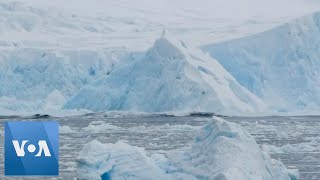 Moment Massive Slab of Ice Breaks Off of Glacier in Antarctica [upl. by Best328]