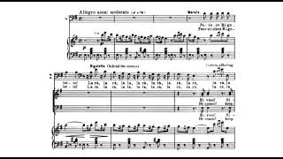 Povero Rigoletto and Cortigiani vil razza dannata “Rigoletto” by Giuseppe Verdi sheet music [upl. by Sheepshanks]