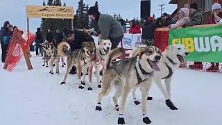 Live  Canadian Connor McMahon Start Day 1  Copper Basin 300 Sled Dog Race Coverage in Alaska [upl. by Essilrahc985]