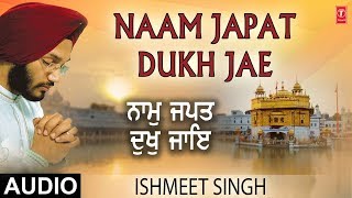 NAAM JAPAT DUKH JAE  ISHMEET SINGH  SATGURU TUMRE KAAJ SAWARE [upl. by Hobbs]