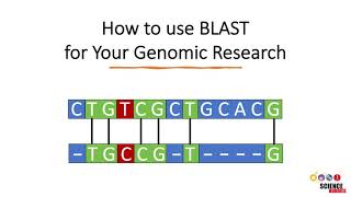 How to Use BLAST for Finding and Aligning DNA or Protein Sequences [upl. by Hsemar]