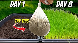 The FASTEST Way to Grow Grass Seed Pregermination Secrets REVEALED [upl. by Ilak]