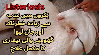 Listeriosis in goat treatment  Cattle  GID  Meningitis  Vet Experts  Dr Abdullah  Dr Aziz [upl. by Mchale68]