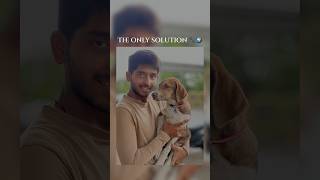 🫶🐾🌍viralvideo dogsong love doglover instagram reels viralshorts song music tamil [upl. by Idihc]