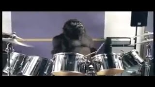 Cadbury gorilla ad [upl. by Joanie]