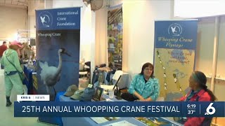 The Whooping Crane Festival welcomes back the endangered bird [upl. by Drareg]