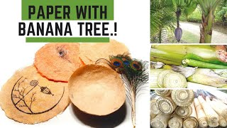 Handmade Paper Making Mith Banana Fiber  How To Make Paper From Banana Tree Easy TutorialArtbeats [upl. by Christan]