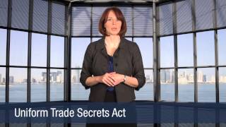 Uniform Trade Secrets Act [upl. by Odawa28]