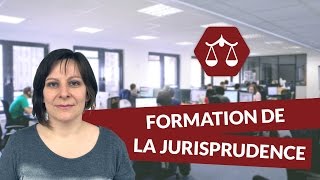 Formation de la jurisprudence  Droit  digiSchool [upl. by Akirea627]