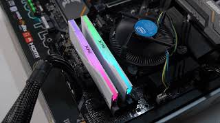 ADATA XPG DDR43200 CL16 SPECTRIX D50 RGB [upl. by Alauqahs741]