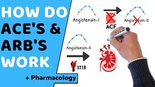 How do ACE amp ARBs Work  Pharmacology [upl. by Claudius264]