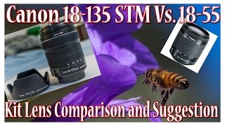 Canon 18135mm STM Lens Review and Comparison To 1855mm STM Lens [upl. by Winnick]