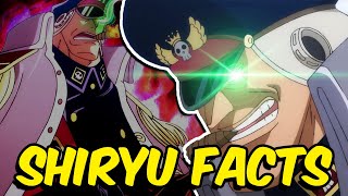 Facts about Shiryu of the Rain Blackbeard ViceCaptain [upl. by Nyvets]