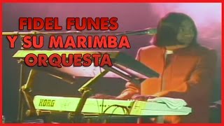 Fidel Funes y su Marimba Orquesta  Concierto De Plata [upl. by Ahsimit]