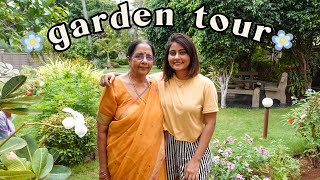 MY HOME GARDEN TOUR 🌿 our houseplant collection  Kritika Goel [upl. by Yraccaz]