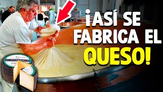 Cómo Se Fabrica El Queso Proceso En Fábrica [upl. by Marylinda94]