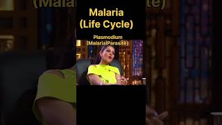 Malaria 🤣 funny neet biology [upl. by Aniar]