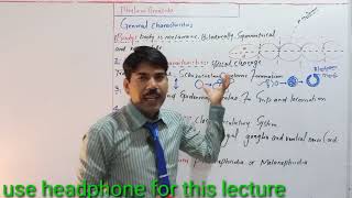 General characteristics of phylum Annelida [upl. by Nahtam]