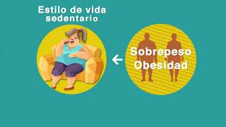 63 Obesidad y salud [upl. by Heer]