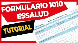 🚀 FORMULARIO 1010 EsSalud  Llenado fácil 📝 [upl. by Susanetta815]